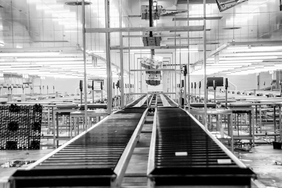 Factory production line with conveyor system showing shop floor execution and production monitoring